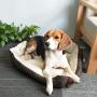 Petper Pet Bed, Self Warming Bed for Cat and Small Medium Dogs Puppy