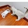 Joyshare Double Cat Food Bowls with Raised Stand, 15°Tilted Platform Cat Feeders Water Bowl, Stress-Free for Cats and Small Dogs, Non Slip and Durable, Gift for Pets