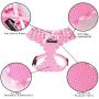 SuperBuddy Upgraded No Pull & No Choke Dog Harness, Super Soft Mesh Breathable Pet Vest Harnesses, Lightweight Adjustable Vest Harness for Puppies and Cats-Comfort fit…
