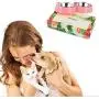Durable Stainless Steel Dog Bowl Food Water Feeder Non-Slip Design Resistant Silicone Mat Non Slip Design Prevent Slipping for Little Size Dogs/Cats Like Chihuahua/Bulldog/Poodle and More (Pink) Durable Stainless Steel Dog Bowl Food Water Feeder Non-Slip Design Resistant Silicone Mat Non Slip Design Prevent Slipping for Little Size Dogs/Cats Like Chihuahua/Bulldog/Poodle and More (Pink)