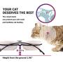 JanYoo Ceramic Cat Bowls Food Feeding Stand Elevated Dog Bowl Outdoor Non-Skid JanYoo Ceramic Cat Bowls Food Feeding Stand Elevated Dog Bowl Outdoor Non-Skid