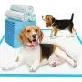 JOINPADS Dog Pee Pad, Puppy Potty Training Pet Pads Dog Pads Extra Large Disposable Super Absorbent & Leak-Free Pee Pads 28''x34'' -30 Count