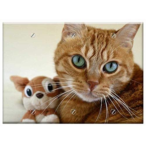 Triple Blank Wall Plate Cover - Cat Small Cat Cat Eye Feline Red Cat Kitten