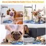 LKESBO Slow Feeder Dog Bowls 4 in 1 Lick Mat for Dogs Cats Puppy with One Collapsible Silicone Travel Bowl Fun Alternative Perfect for Peanut Butter Yogurt Food LKESBO Slow Feeder Dog Bowls 4 in 1 Lick Mat for Dogs Cats Puppy with One Collapsible Silicone Travel Bowl Fun Alternative Perfect for Peanut Butter Yogurt Food