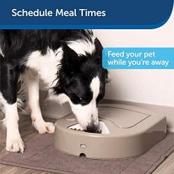 PetSafe 5 Meal Automatic Pet Feeder, Dog and Cat Dry Food Dispenser, with Digital Clock and Portion Control, 1 Cup Compartment Portions, 5 Cups Total Capacity