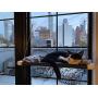 Lcybem Cat Hammocks for Window - Seat Suction Cups Space Saving Cat Bed, Pet Resting Seat Safety Cat Window Perch for Large Cats, Providing All Around 360° Sunbath for Indoor, Weighted up to 33lbs