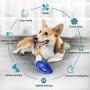 WLHOPE Dog for Rubber Football Toy Squeaky Dog Chew Ball Help Dogs Molar Clean Teeth and Stay Away from Loneliness Suitable for Small Medium Dogs (Dark Blue)