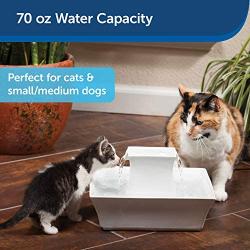 PetSafe Drinkwell Pagoda Cat and Dog Drinking Fountain, 70 oz Capacity Automatic Water Dispenser for Pets, Durable Easy to Clean Ceramic Material, Dual Free Falling Streams, Filters Included