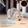 Pet Toys, Make Your Cat Or Dog Play Happily with You, Charging Type