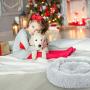YITO Cat Beds for Indoor Cats, 20'' & 24'' Cat Bed Round Donut Cuddler Dog Bed for Small Dogs Fluffy Pet Sofa Cushion for Snuggle Puppy Washable Soft Plush Marshmallow Dog Cat Bed Warming