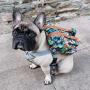 Bark Industry Dog Backpack Harness
