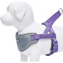 Blueberry Pet 8 Colors Soft & Comfortable 3M Reflective Strips Nylon Neoprene Padded Training Dog Harness