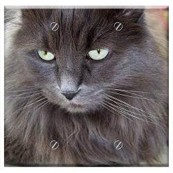 Double Blank Wall Plate Cover - Cat Pet Domestic Kitten Kitty Feline Grey