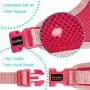 LivinPet No-Choke Dog Vest Harness w/Reflectieve Accents +Dog Collar with Zinc Alloy Metal Buckle
