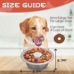 BINGPET Stainless Steel Slow Feed Dog Bowl - 4 Cup Extra Large Pet Slow Feeder, 2 Standard Metal Bowls Fit Elevated Feeders, Eating Bowl, Stops Dog Food Gulping, Dog Food and Water Bowl