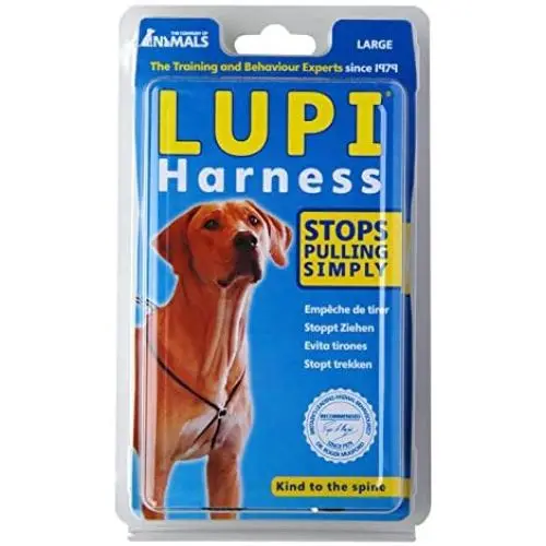Company of Animals Lupi Non-Pull Harness Puppy Dog Harness, Large Company of Animals Lupi Non-Pull Harness Puppy Dog Harness, Large