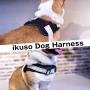 ikuso Dog Harness, No Pull Dog Harness Outdoor Vest for Dogs Easy Control for Small Medium Large Dogs