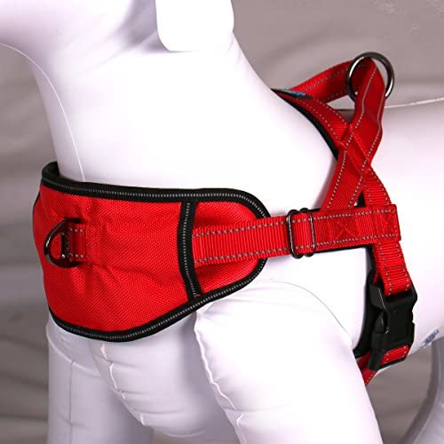 Max and Neo Passport Reflective Dog Harness - We Donate a Harness to a Dog Rescue for Every Harness Sold