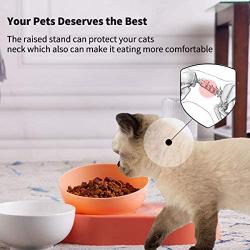 Jemirry Cat Dog Bowls with Raised Stand,15° Tilted Food and Water Bowl Set, Double Pet Bowls Bottle for Small or Medium Size Dogs Cats