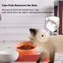 Jemirry Cat Dog Bowls with Raised Stand,15° Tilted Food and Water Bowl Set, Double Pet Bowls Bottle for Small or Medium Size Dogs Cats Jemirry Cat Dog Bowls with Raised Stand,15° Tilted Food and Water Bowl Set, Double Pet Bowls Bottle for Small or Medium Size Dogs Cats