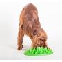Green Interactive Feeder