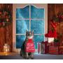 senyouth Cat Christmas Stocking, 10Pcs Cat Christmas Costume Toys, Cat Stockings Christmas Toys Cat Clothes for Cats Only, Cat Costumes for Indoor Cats Cat Interactive catnipToys for Kitten and Cats