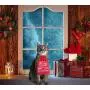 senyouth Cat Christmas Stocking, 10Pcs Cat Christmas Costume Toys, Cat Stockings Christmas Toys Cat Clothes for Cats Only, Cat Costumes for Indoor Cats Cat Interactive catnipToys for Kitten and Cats senyouth Cat Christmas Stocking, 10Pcs Cat Christmas Costume Toys, Cat Stockings Christmas Toys Cat Clothes for Cats Only, Cat Costumes for Indoor Cats Cat Interactive catnipToys for Kitten and Cats