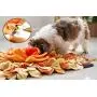 Sniffiz SmellyMatty Snuffle Mat for Dogs - Interactive Food IQ Enrichment Puzzle Toy Package (Large Nosework Orange Mat + Mini Treat Puzzles X 6) - Mind Stimulating Brain Games for Boredom Sniffiz SmellyMatty Snuffle Mat for Dogs - Interactive Food IQ Enrichment Puzzle Toy Package (Large Nosework Orange Mat + Mini Treat Puzzles X 6) - Mind Stimulating Brain Games for Boredom