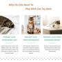 MICOKA Smart Interactive Cat Toy, Newest Version 360 Degree Self Rotating Ball, USB Rechargeable Pet Toy, Build-in Spinning Led Light, Exercise Chaser Toy for Cats and Dogs- Upgrade New