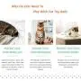 MICOKA Smart Interactive Cat Toy, Newest Version 360 Degree Self Rotating Ball, USB Rechargeable Pet Toy, Build-in Spinning Led Light, Exercise Chaser Toy for Cats and Dogs- Upgrade New MICOKA Smart Interactive Cat Toy, Newest Version 360 Degree Self Rotating Ball, USB Rechargeable Pet Toy, Build-in Spinning Led Light, Exercise Chaser Toy for Cats and Dogs- Upgrade New