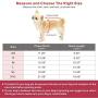 Idepet Dogs Clothes Small Pet Costume Halloween Dinosaur Costume Dog Clothing Puppy Outfits Funny Apperal (XXL)