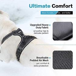 rabbitgoo No Pull Dog Harness and Leash Set with 2 Metal Clips Reflective Front Walking Harness for Small Medium Large Dogs Adjustable Padded Pet Vest Harnesses with Easy Control Soft Handle