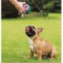 Pet Supplies Dog Toy Ball bite-Resistant Stretch Ball Puppies molars Clean Teeth - Green + Powder