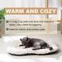 YFPets Self Heating Cat Pad Self Heated Warming Mat Thermal 24x18 Inches Dog Pet Puppy Bed for Outdoor Indoor Machine Washable Ultra Soft Cozy Non-Slip Bottom YFPets Self Heating Cat Pad Self Heated Warming Mat Thermal 24x18 Inches Dog Pet Puppy Bed for Outdoor Indoor Machine Washable Ultra Soft Cozy Non-Slip Bottom
