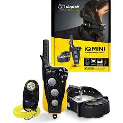 Dogtra IQ Mini Small Dog Remote Training System - 400 Yard Range Collar, Rechargeable Remote Trainer, Waterproof, Static, Vibration Pager Training with PetsTEK Dog Training Clicker