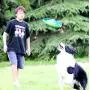 Dog Frisbee Toy, Pet Training Cyber Rubber Flying Saucer Interactive Toys, Floating Water Dog Toy 8.75 Inch, Outdoor Flying Disc Training (Blue) Dog Frisbee Toy, Pet Training Cyber Rubber Flying Saucer Interactive Toys, Floating Water Dog Toy 8.75 Inch, Outdoor Flying Disc Training (Blue)