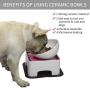WZ PET Raised Ceramic Dog Feeding Bowl,Adjustable Elevated Dog Bowls Set Anti-Slip,Standing Pet Feeding Dish for Small Medium Dogs and Cats