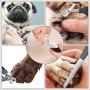 Utotol Dog Nail Grinder,Electric Rechargeable Pet Nail Complete Manicure Grooming Tool Kit for Small Medium Large Animals Quiet Painless Avoid Over-Cutting Grinder for Cats