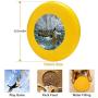 Pet Frisbee Flying Disc Dog Toy - Multifunction Christ Walking On The Sea of Galilee Anonymous