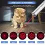 Puppify Cat Indoor Interactive Toy, USB Rechargeable Pet Chasing Toy for Cat Exercise (Note: Sold by OMYPUP) Puppify Cat Indoor Interactive Toy, USB Rechargeable Pet Chasing Toy for Cat Exercise (Note: Sold by OMYPUP)