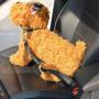 NicePro Dog Seat Belt -1 Pack, Nlyon Car Leash for Dog/Cat, Safety Leads Vehicle Dog Seatbelt,19-27 Inch Adjustable