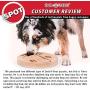 Ethical Pet Interactive Seek-A-Treat Flip N Flap Bone Dog Toy Puzzle that will improve your dogs IQ. Specially designed for dog training treats., Multicolor, 10 x 10 x 1.6 inches ; 1.65 pounds (5652)