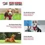 Metro - No Pull Dog Harness | Front And Back Leash Attachment Points | 3M Reflective Stitching Increases Safety At Night | 4 Point Adjustable Fit Harness For Dogs | Padded Dog Harness For Comfort Metro - No Pull Dog Harness | Front And Back Leash Attachment Points | 3M Reflective Stitching Increases Safety At Night | 4 Point Adjustable Fit Harness For Dogs | Padded Dog Harness For Comfort