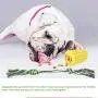 Tough Dog Toothbrush Chew Toys for Aggressive Chewers , Durable Corn Dog Rope Toy, Puppy Teething Indestructible Toys with Food Grade Rubber for Small Medium Dogs Tough Dog Toothbrush Chew Toys for Aggressive Chewers , Durable Corn Dog Rope Toy, Puppy Teething Indestructible Toys with Food Grade Rubber for Small Medium Dogs