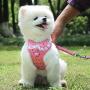 AUEAR, Soft Mesh Fabric Small Dog Vest Harness Girl Harness Leash Set Harness Leash Set for Small Dogs Puppy Vest Harness Cat Vest Harness Pink Color (Style B: Chest 11.8-19.7'', Neck 10'')