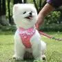 AUEAR, Soft Mesh Fabric Small Dog Vest Harness Girl Harness Leash Set Harness Leash Set for Small Dogs Puppy Vest Harness Cat Vest Harness Pink Color (Style B: Chest 11.8-19.7'', Neck 10'') AUEAR, Soft Mesh Fabric Small Dog Vest Harness Girl Harness Leash Set Harness Leash Set for Small Dogs Puppy Vest Harness Cat Vest Harness Pink Color (Style B: Chest 11.8-19.7'', Neck 10'')
