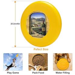 Pet Frisbee Flying Disc Dog Toy - Multifunction 1 Wine and Lavender Marilyn Dunlap