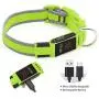 Clan-x LED Dog Collar - USB Rechargeable Light Up Pet Collars, Mesh Adjustable Comfortable Mesh Safety Glowing Dog Necklace, Flashing Reflective Dog Collars for Your Small Medium Large Dogs
