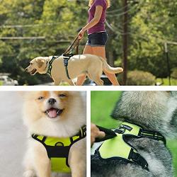 PremiPet No Pull Dog Harness, Breathable Pet Vest for Outdoor Walking Training Control for Medium Large Breeds