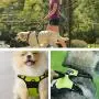 PremiPet No Pull Dog Harness, Breathable Pet Vest for Outdoor Walking Training Control for Medium Large Breeds PremiPet No Pull Dog Harness, Breathable Pet Vest for Outdoor Walking Training Control for Medium Large Breeds